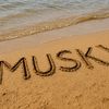 musky.of.ph6
