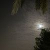 lana.mohameed3