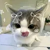 yan445623