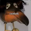 sqqqwertywrx