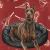 doberroi