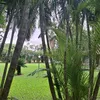 stillnessingreen