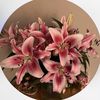 rahaf_23f7