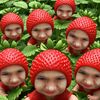 kokokalaylay480