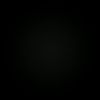 TEAM NEGRO
