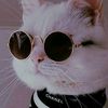 maxie_494