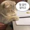 알면 조용히해.
