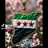 user86780023348422