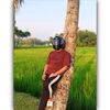 sakib_4_man