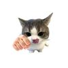 user3808270723615