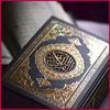 user8113496251654