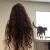 ava264934