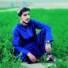 user98352740324877