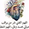 user8606548730506