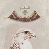 shmr555f0
