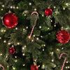 holidayszn25