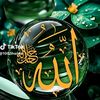 user5548028663980