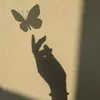فراشه 🦋