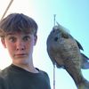tyson.thornley1