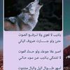 user81552851190152