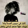 user8186563779480