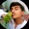 ranahamid2121