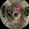 meoowme