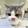 miray.st4rr