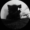 fiona0_1