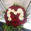 user9228006660315