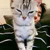 scrapsl