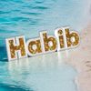 habeeb8094