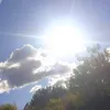 tonnyplay98