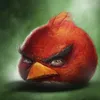 angrybird67