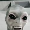 jennasvault
