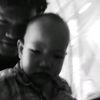 daszy_2008