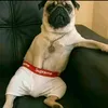 ggggi0183