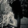 Aseel