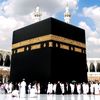 zain_4602