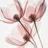By H