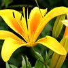 nadiasouza000234