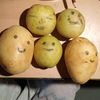 potatotips5