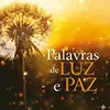 Luz e Palavra