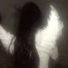 qwe_09876544