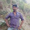 bashsamia