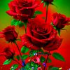 prakash.kc5173