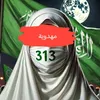 tri._313