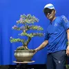 tuyenbonsai8