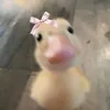 loloh.w.sana
