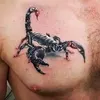 zhzogbzk